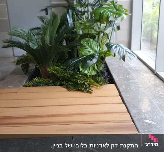 צמחים ירוקים ליד משטח עץ בגינה פנימית